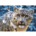 Castorland Snow Leopard - 174442 - zdjęcie 2