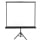 Ekran projekcyjny Avtek Ekran na statywie 108' 195x195 1:1 Biały Matowy