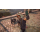 Sony Uncharted 4: Kres Złodzieja - 304178 - zdjęcie 3