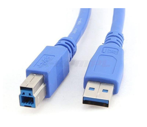 Gembird Kabel USB - USB-B 0,5m - 182298 - zdjęcie 5