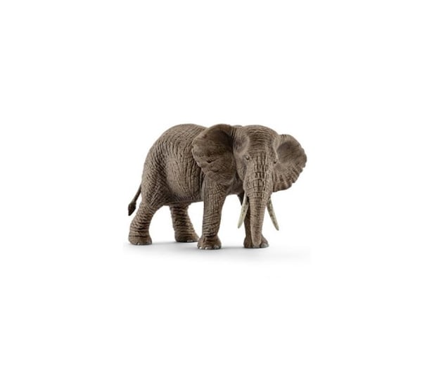 Schleich Samica Słonia Afrykańskiego - 455091 - zdjęcie