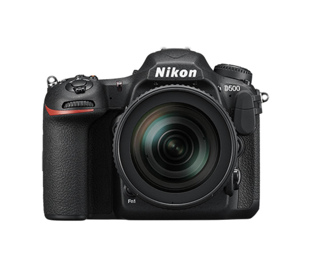 Nikon D500 + AF-S DX 16-80mm VR - 448466 - zdjęcie
