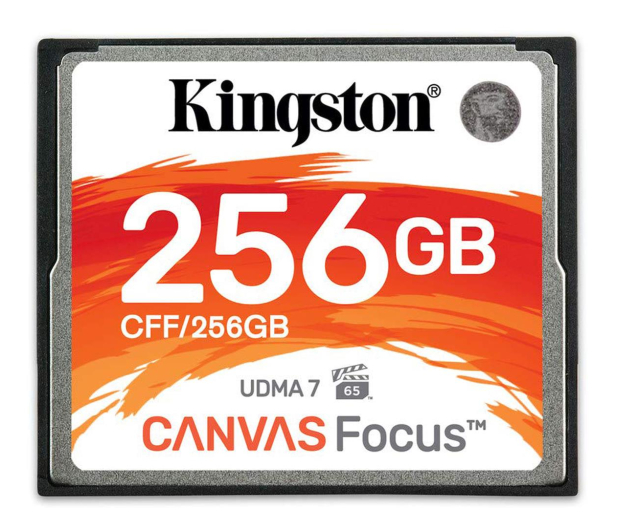 Kingston 256GB Canvas Focus zapis: 130MB/s odczyt: 150MB/s - 475302 - zdjęcie