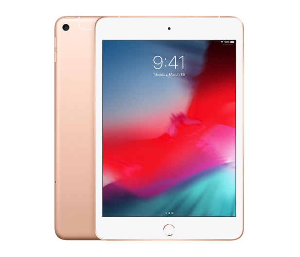 Apple iPad mini 256GB LTE Gold - 486995 - zdjęcie