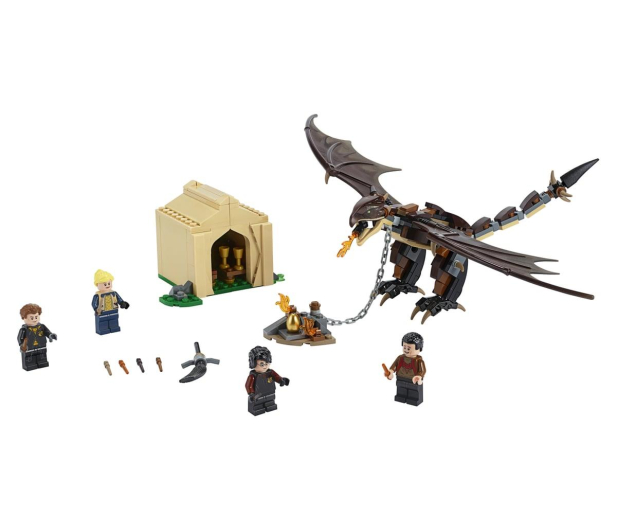 LEGO Harry Potter Rogogon na Turnieju Trójmagicznym - 496231 - zdjęcie 2