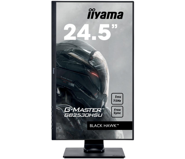 iiyama G-Master GB2530HSU Black Hawk - 430746 - zdjęcie 4