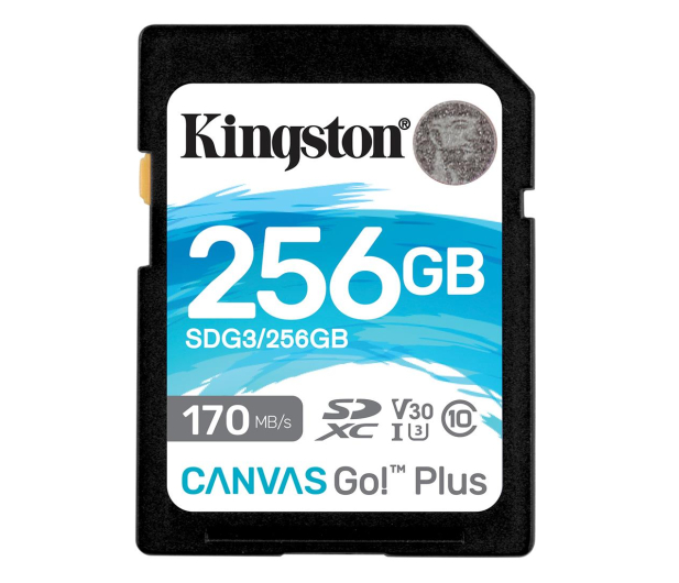 Kingston 256GB Canvas Go! Plus 170MB/90MB (odczyt/zapis) - 550472 - zdjęcie 1