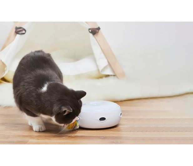 Homerunpet Smart Cat Toy CT10 - 1084372 - zdjęcie 4