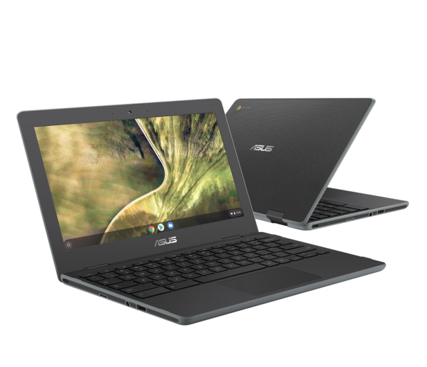 ASUS ChromeBook C204MA N4020/4GB/64 eMMC/ChromeOS - 1078179 - zdjęcie