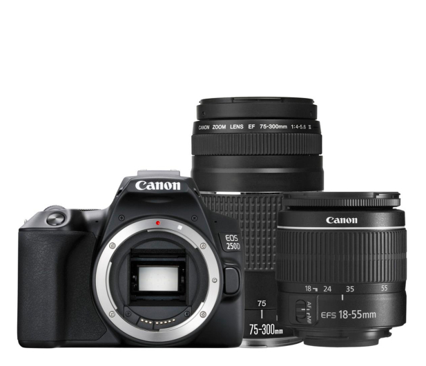 Canon EOS 250D + 18-55mm + 75-300mm - 1055328 - zdjęcie