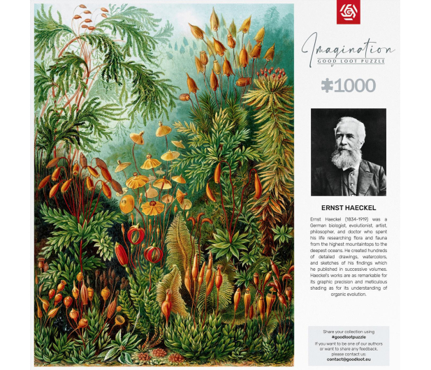 Merch Imagination: Ernst Haeckel Muscinae Puzzles 1000 - 1056324 - zdjęcie 5