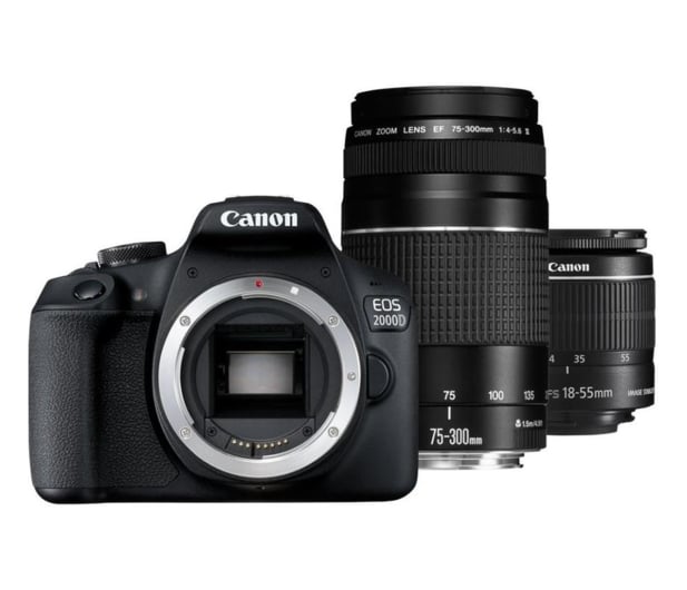 Canon EOS 2000D + 18-55 IS + 75-300 EU26 - 1059650 - zdjęcie