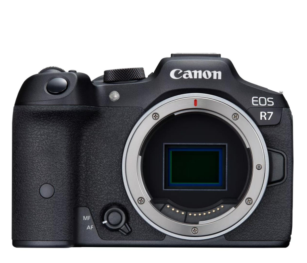 Canon EOS R7 + RF-S 18-150mm f/3.5-6.3 IS STM - 1185739 - zdjęcie 4
