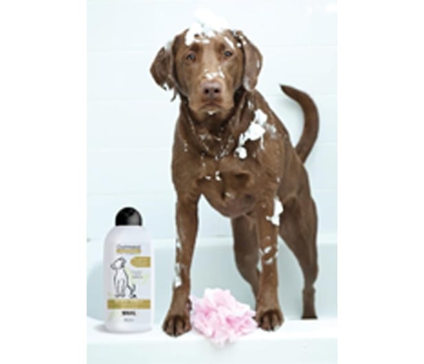 Wahl ShowPro 20110-0460 + 2x szampon dla psów Oatmeal 750 ml - 1196873 - zdjęcie 6
