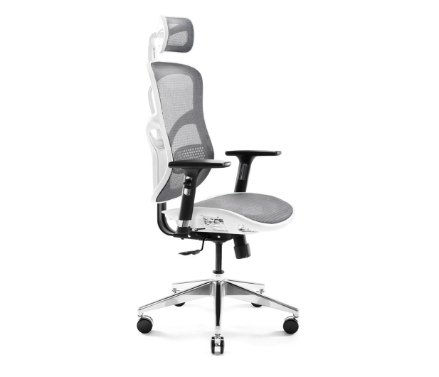Diablo Chairs V-BASIC Biało-szary - 1192266 - zdjęcie