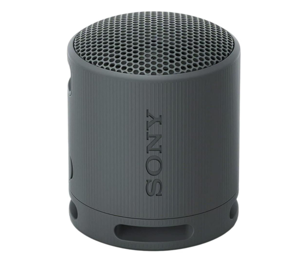 Sony SRS-XB100 Czarny - 1169971 - zdjęcie