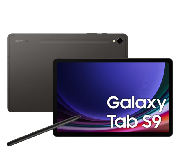 Samsung Galaxy Tab S9 11" 12/256GB, 5G, S Pen, szary - 1158889 - zdjęcie