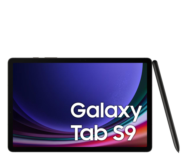 Samsung Galaxy Tab S9 11" 8/128GB WiFi, S Pen, szary - 1158878 - zdjęcie 4