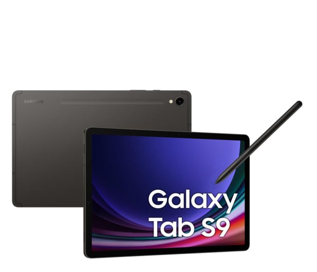 Samsung Galaxy Tab S9 11" 12/256GB, WiFi, S Pen, szary - 1158883 - zdjęcie 2