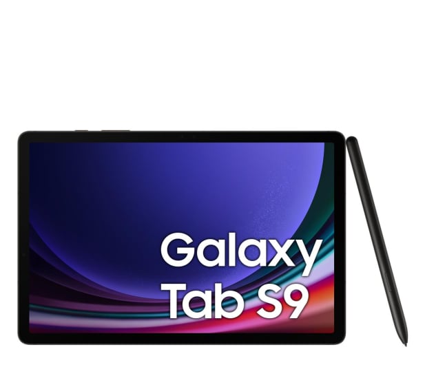Samsung Galaxy Tab S9 11" 12/256GB, WiFi, S Pen, szary - 1158883 - zdjęcie 4