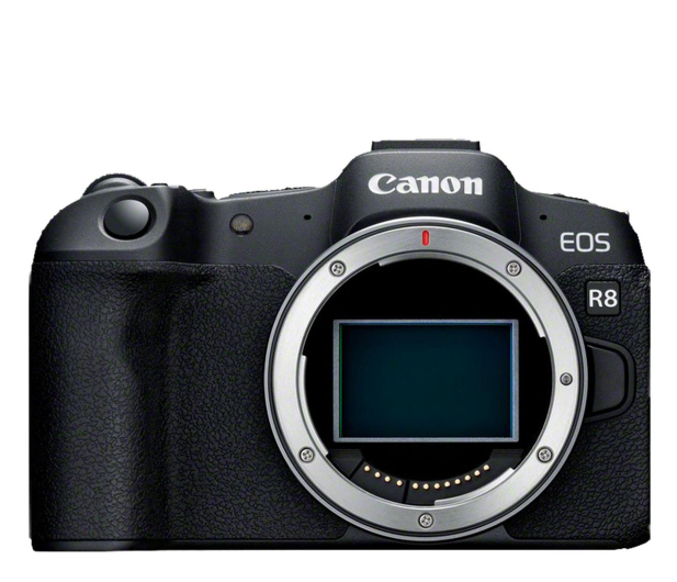Canon EOS R8 body - 1179999 - zdjęcie