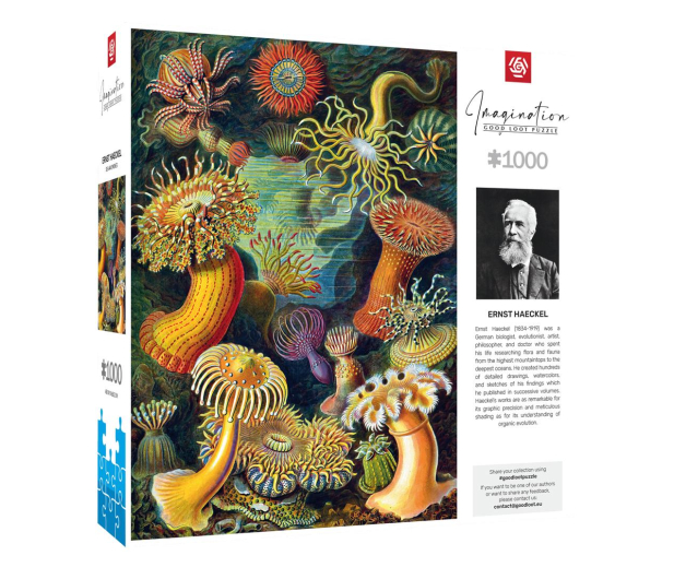 Merch Imagination: Ernst Haeckel: Sea Anemones/Stworzenia morskie - 1178565 - zdjęcie