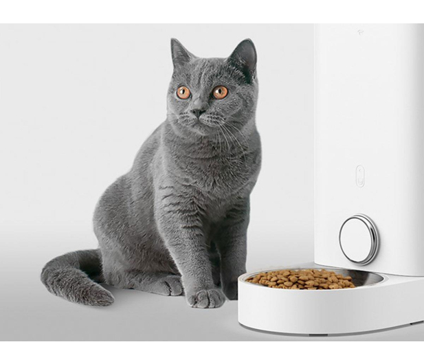 PetKit Fresh Element Solo inteligentny dozownik karmy dla zwierząt - 1328995 - zdjęcie 4