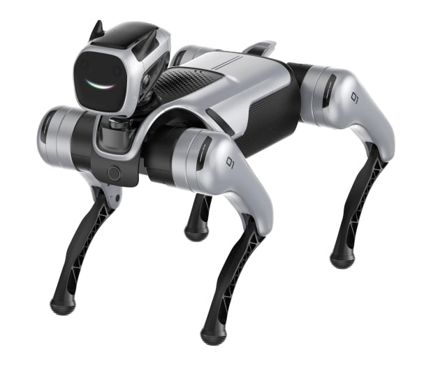 Magiclab Magicdog Pro - 1456268 - zdjęcie