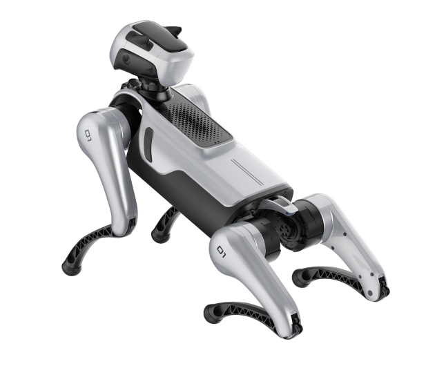 Magiclab Magicdog Pro - 1456268 - zdjęcie 4