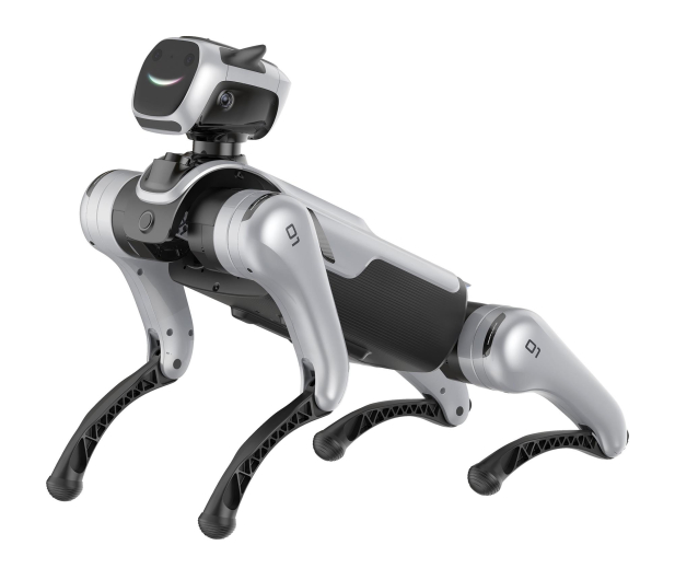 Magiclab Magicdog Pro - 1456268 - zdjęcie 6