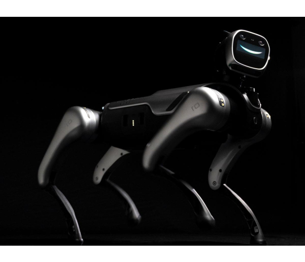 Magiclab Magicdog Pro - 1456268 - zdjęcie 12