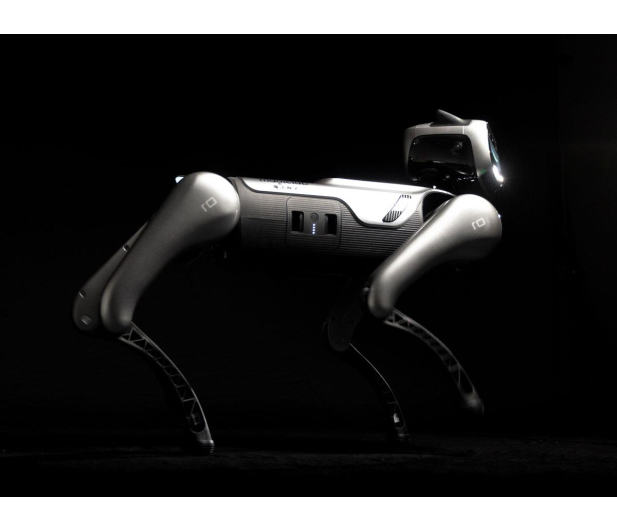 Magiclab Magicdog Pro - 1456268 - zdjęcie 13