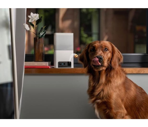Petcube Inteligentna kamera z podajnikiem Bites 2 Lite - 1308537 - zdjęcie 4