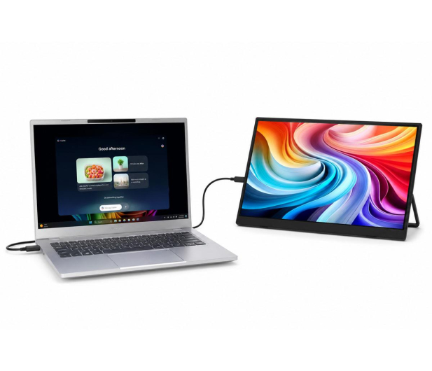 Acer PM191QEbmiuux - 1502267 - zdjęcie 10