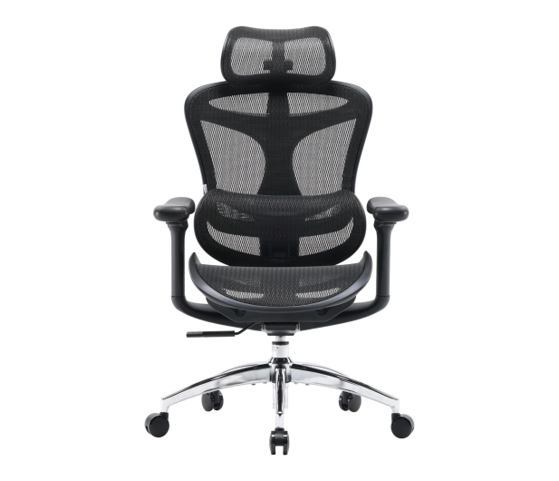 Sihoo DORO C300L Mesh czarny - 1542354 - zdjęcie