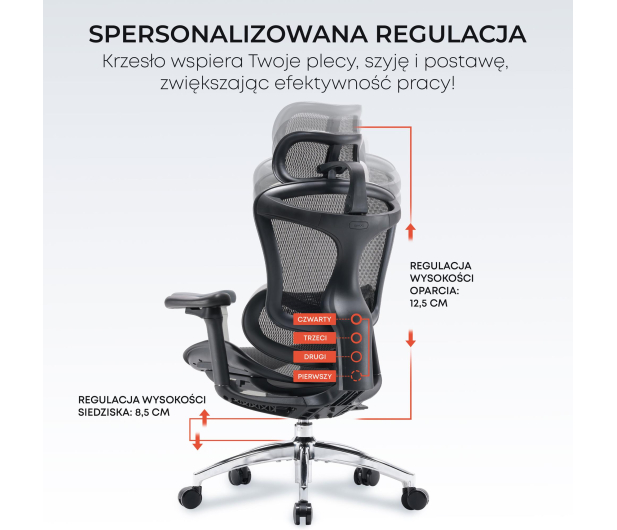 Sihoo DORO C300L Mesh czarny - 1542354 - zdjęcie 9