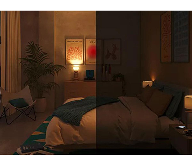 Philips Inteligentna Żarówka LED E27 RGB A60 60W 806lm 2200-6500K - 1544364 - zdjęcie 5