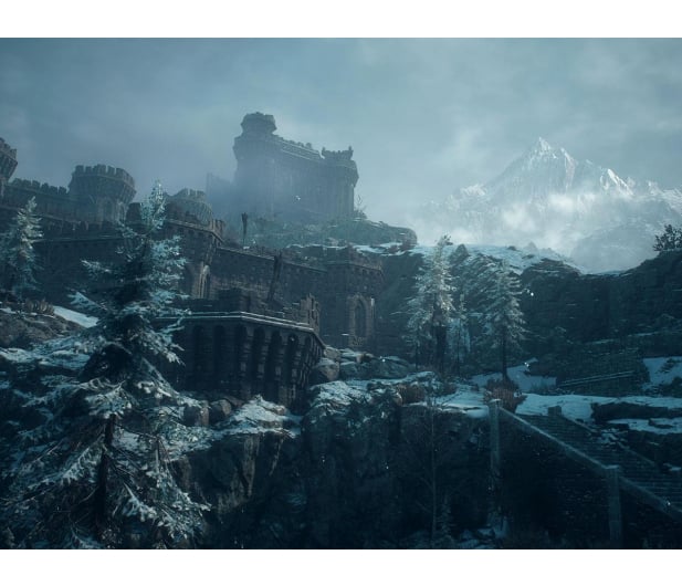 PlayStation Dragon's Dogma 2 Dark Arisen - 1581112 - zdjęcie 2