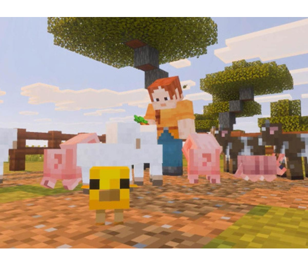 Switch Minecraft - 1583143 - zdjęcie 4