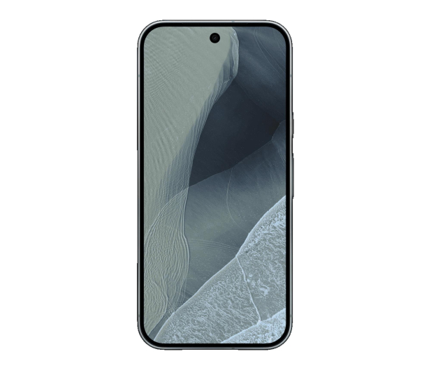 Google Pixel 11 Pro 16/512GB Jasnoszary - 1588567 - zdjęcie 2