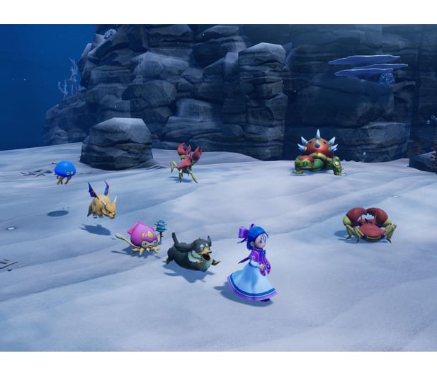 PlayStation DRAGON QUEST Monsters: The Withered World - 1581117 - zdjęcie 4