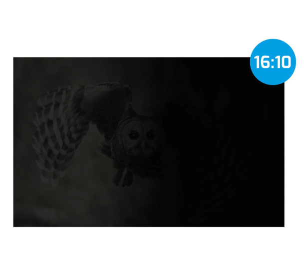 Natec Filtr Prywatyzujący Rodo Owl 14" 16:10 - 1582075 - zdjęcie 3