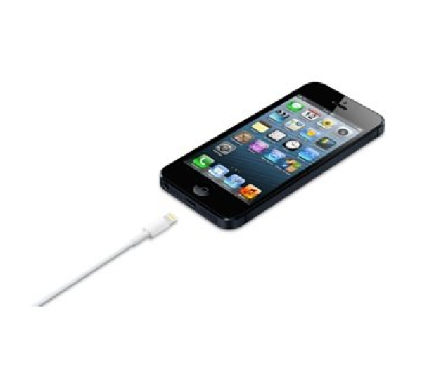 Apple Kabel USB - Lightning 0,5m - 170297 - zdjęcie 4