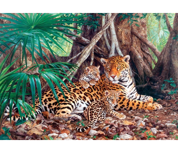 Castorland Jaguars in the Jungle - 174399 - zdjęcie 2