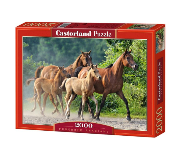 Castorland Purebred Arabians - 174415 - zdjęcie