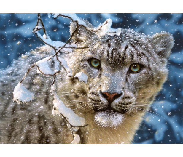 Castorland Snow Leopard - 174442 - zdjęcie 2