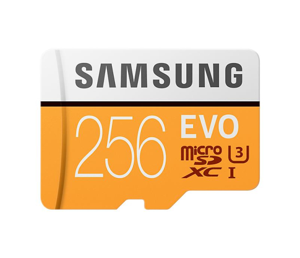Samsung 256GB microSDXC Evo zapis 90MB/s odczyt 100MB/s - 360781 - zdjęcie