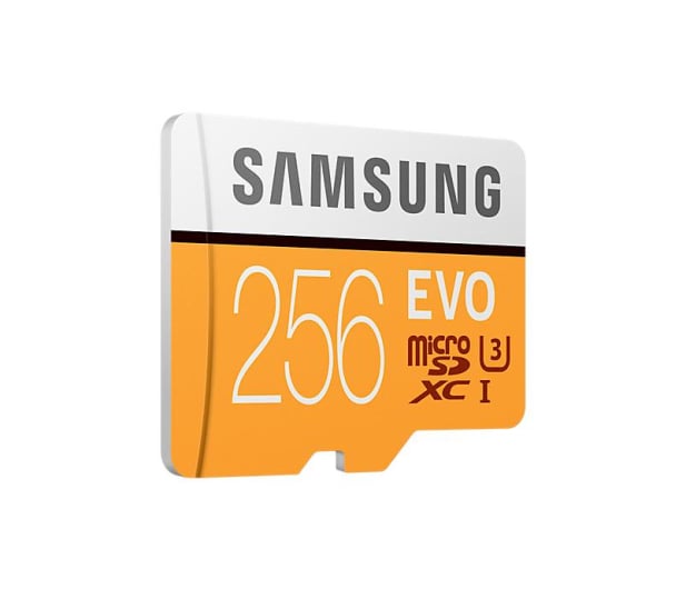Samsung 256GB microSDXC Evo zapis 90MB/s odczyt 100MB/s - 360781 - zdjęcie 2