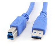 Gembird Kabel USB - USB-B 0,5m - 182298 - zdjęcie 5
