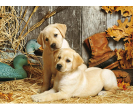 Clementoni Puzzle HQ  Hunting Dogs - 417248 - zdjęcie 2